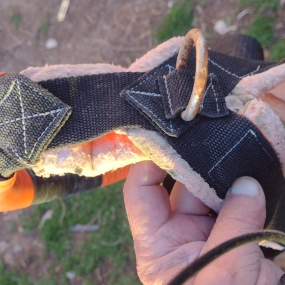 Orange and Black Horse Halter - Picture 2 of 2
